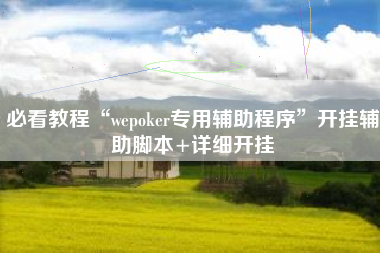必看教程“wepoker专用辅助程序”开挂辅助脚本+详细开挂