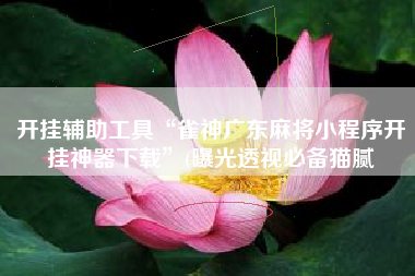 开挂辅助工具“雀神广东麻将小程序开挂神器下载	”(曝光透视必备猫腻