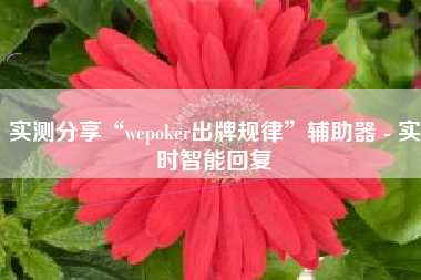 实测分享“wepoker出牌规律”辅助器 - 实时智能回复