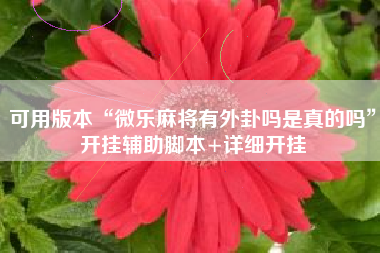 可用版本“微乐麻将有外卦吗是真的吗”开挂辅助脚本+详细开挂