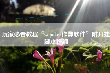 玩家必看教程“wepoker作弊软件”附开挂脚本详细