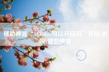 辅助神器“AGPoker可以开挂吗”开挂(透视)辅助神器