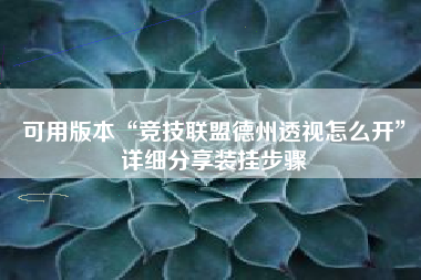 可用版本“竞技联盟德州透视怎么开	”详细分享装挂步骤