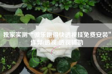 独家实测“微乐跑得快透视挂免费安装	”作弊(透视)透视辅助