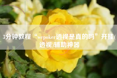 3分钟教程“wepoker透视是真的吗”开挂(透视)辅助神器