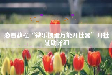 必看教程“微乐掼蛋万能开挂器”开挂辅助详细