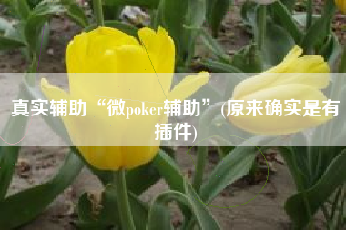 真实辅助“微poker辅助	”(原来确实是有插件)