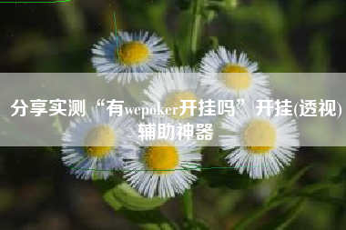 分享实测“有wepoker开挂吗”开挂(透视)辅助神器