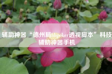 辅助神器“德州局hhpoker透视脚本	”科技辅助神器手机
