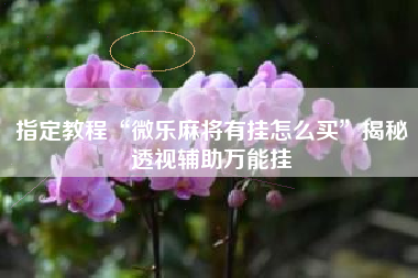 指定教程“微乐麻将有挂怎么买”揭秘透视辅助万能挂