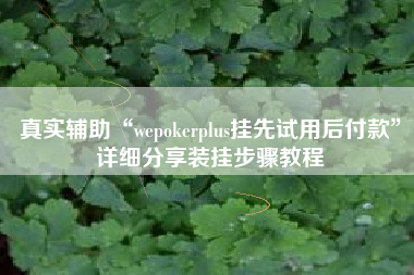真实辅助“wepokerplus挂先试用后付款”详细分享装挂步骤教程