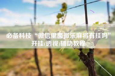 必备科技“微信里面微乐麻将有挂吗”开挂(透视)辅助教程