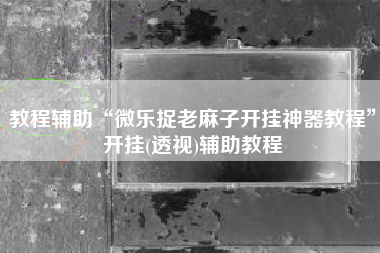 教程辅助“微乐捉老麻子开挂神器教程”开挂(透视)辅助教程