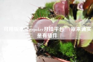 可用版本“wepoker开挂平台”(原来确实是有插件 可用版本“wepoker开挂平台”(原来确实是有插件