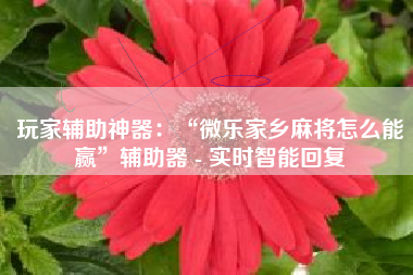 玩家辅助神器：“微乐家乡麻将怎么能赢	”辅助器 - 实时智能回复