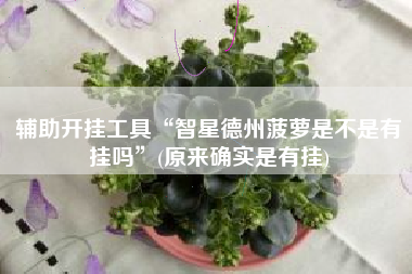 辅助开挂工具“智星德州菠萝是不是有挂吗	”(原来确实是有挂)
