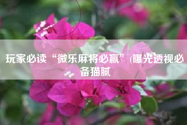 玩家必读“微乐麻将必赢	”(曝光透视必备猫腻