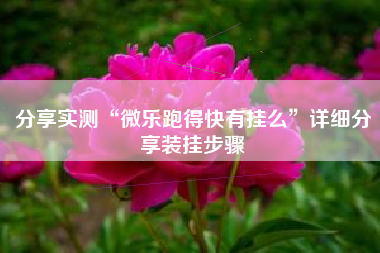 分享实测“微乐跑得快有挂么	”详细分享装挂步骤