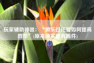 玩家辅助神器：“微乐过托管如何提高胜率	”(原来确实是有插件)