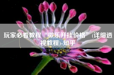 玩家必看教程“微乐开挂价格”(详细透视教程)-知乎