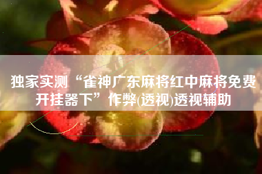 独家实测“雀神广东麻将红中麻将免费开挂器下”作弊(透视)透视辅助