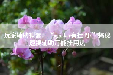 玩家辅助神器：“agpoker有挂吗?	”揭秘透视辅助万能挂用法