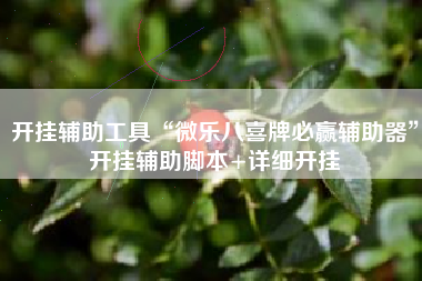 开挂辅助工具“微乐八喜牌必赢辅助器”开挂辅助脚本+详细开挂