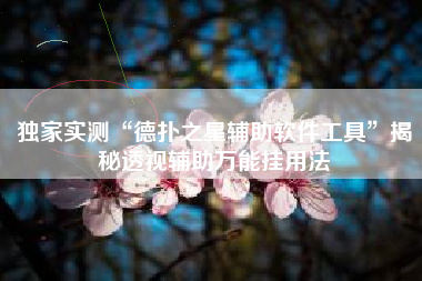 独家实测“德扑之星辅助软件工具”揭秘透视辅助万能挂用法