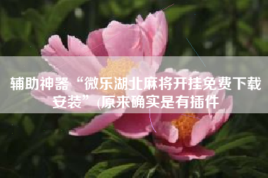 辅助神器“微乐湖北麻将开挂免费下载安装	”(原来确实是有插件