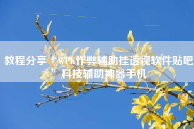 教程分享“WPK作弊辅助挂透视软件贴吧	”科技辅助神器手机