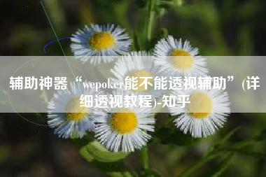 辅助神器“wepoker能不能透视辅助”(详细透视教程)-知乎