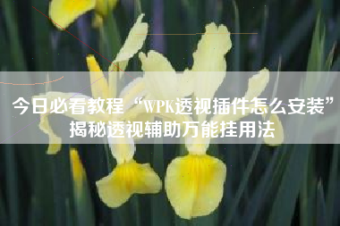 今日必看教程“WPK透视插件怎么安装	”揭秘透视辅助万能挂用法