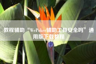 教程辅助“WePoker辅助工具安全吗	”通用版下载教程