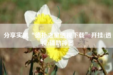 分享实测“德扑之星透视下载	”开挂(透视)辅助神器
