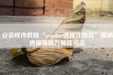 安装程序教程“wepoker透视作弊挂”揭秘透视辅助万能挂用法