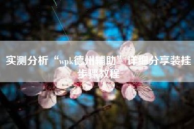 实测分析“wpk德州辅助	”详细分享装挂步骤教程
