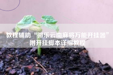 教程辅助“微乐云南麻将万能开挂器	”附开挂脚本详细教程