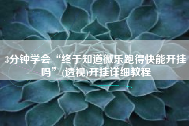 3分钟学会“终于知道微乐跑得快能开挂吗”(透视)开挂详细教程