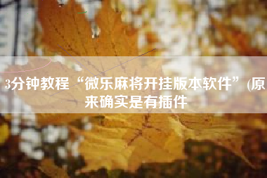 3分钟教程“微乐麻将开挂版本软件”(原来确实是有插件