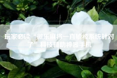 玩家必读“微乐麻将一直输被系统针对了”科技辅助神器手机