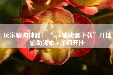 玩家辅助神器：“wpk辅助器下载	”开挂辅助脚本+详细开挂