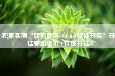 独家实测“如何使用wepoker软件开挂”开挂辅助脚本+详细开挂