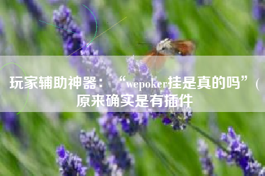 玩家辅助神器：“wepoker挂是真的吗	”(原来确实是有插件