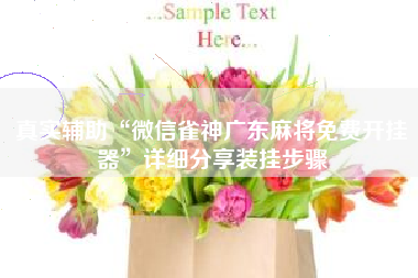 真实辅助“微信雀神广东麻将免费开挂器”详细分享装挂步骤