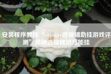 安装程序教程“wepoker透视辅助挂游戏评测”揭秘透视辅助万能挂