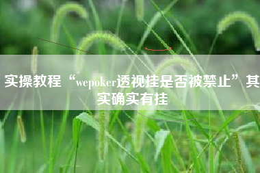 实操教程“wepoker透视挂是否被禁止	”其实确实有挂