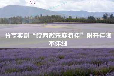 分享实测“陕西微乐麻将挂”附开挂脚本详细