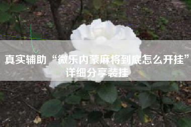 真实辅助“微乐内蒙麻将到底怎么开挂”详细分享装挂