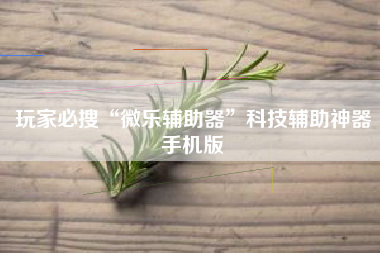 玩家必搜“微乐辅助器”科技辅助神器手机版