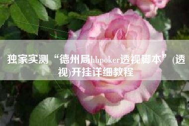 独家实测“德州局hhpoker透视脚本”(透视)开挂详细教程